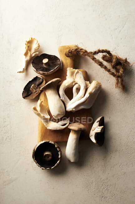 Top view of various mushrooms on beige background. Forest harvest concept — Stock Photo