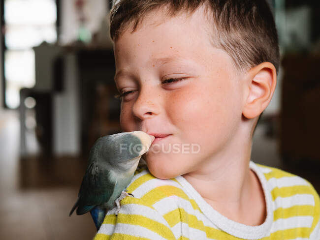 Crop positive Junge mit kleinen grau gefiederten Vogel sitzt auf der Schulter und küsst den Mund — Stockfoto