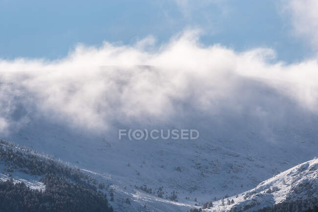 Scenario di boschi sempreverdi che crescono nella catena montuosa della Sierra de Guadarrama in Spagna sotto le nuvole cumulate — Foto stock