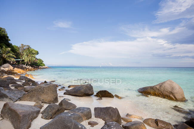 Вид на безконечне блакитне море, що обмиває каміння і піщане узбережжя з екзотичними рослинами в Малайзії. — стокове фото