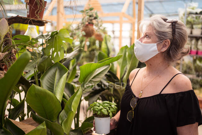 Acheteuse mature en masque textile avec basilic en pot regardant vers le haut tout en cueillant des plantes tropicales dans le magasin de jardin — Photo de stock