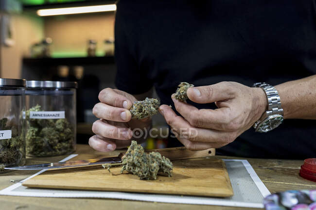 Crop unrecognizable male in wristwatch with dried hemp floral buds above cutting board in room — Stock Photo