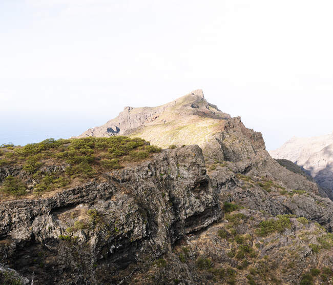Живописный вид на высохшую сухую гору с мхом под легким небом на Канарских островах Тенерифе Испания — стоковое фото