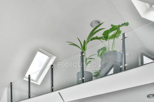 De dessous de plantes vertes en pot près de la clôture en verre transparent dans une maison de deux étages — Photo de stock