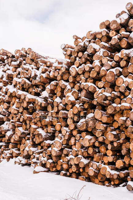 Купа дерев'яних колод під снігом в горбистій зимовій долині під хмарним небом — стокове фото
