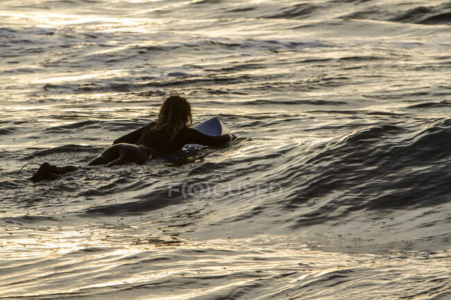 Vue arrière de la jeune femme avec planche de surf dans la mer au coucher du soleil sur la plage des Asturies, Espagne — Photo de stock