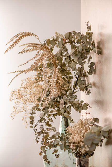 Vasi di vetro con piante secche e rami ricoperti di foglie decorazione stanza di casa — Foto stock