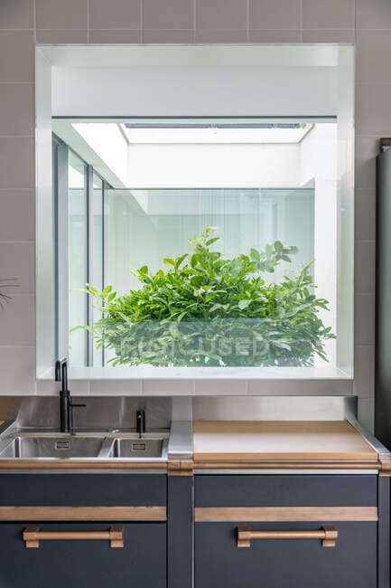 Современная кухня с раковинами и минималистскими шкафами, расположенными под окном с видом на задний двор, со свежим растением в доме при солнечном свете — стоковое фото