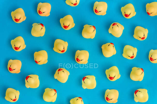Dall'alto set di simpatici giocattoli in gomma anatroccoli collocati su sfondo blu brillante — Foto stock