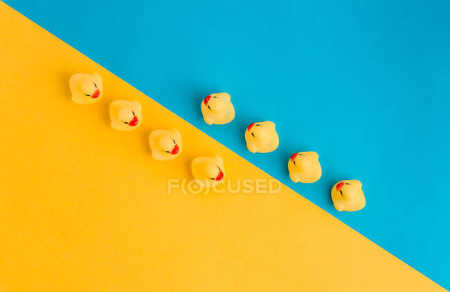 Зверху набір милих гумових іграшок каченят в ряд, розміщених на яскравому синьо-жовтому тлі — стокове фото