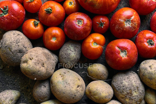 Gros plan d'une pile de tomates rouges et de pommes de terre sur le sol — Photo de stock