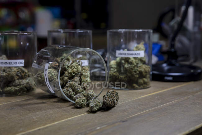 From above of dried hemp floral buds in transparent containers on wooden table in room — Stock Photo