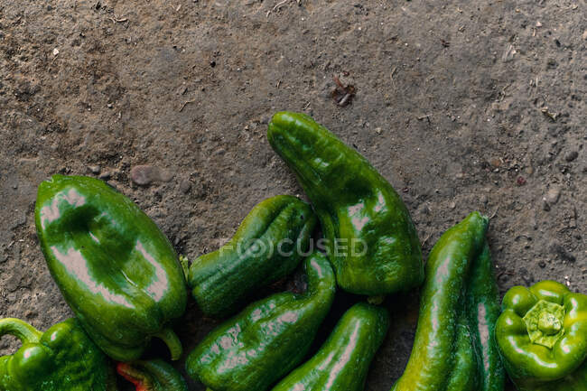 Top view close-up of a pile of green peppers on the ground — Stock Photo