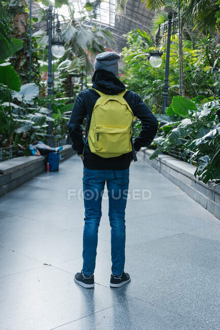 Back view of peaceful African American male hipster with backpack chilling standing with hands in pocket admiring indoors garden park — Stock Photo