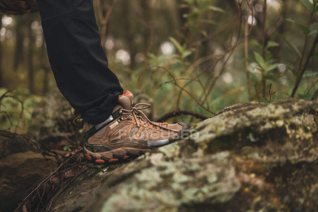 Ernte unkenntliche Person in Trekkingstiefeln steht auf bemoosten Felsen im Wald in der Landschaft — Stockfoto