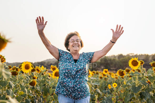 Содержание старой женщины с вытянутыми руками, смотрящей в камеру среди цветущих цветов Гелиантуса в сельской местности — стоковое фото