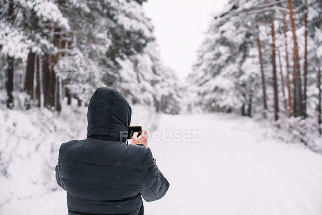 Back view of unrecognizable person in outerwear standing on snowy path among snowy coniferous trees in winter forest while taking picture of landscape with mobile phone — Stock Photo
