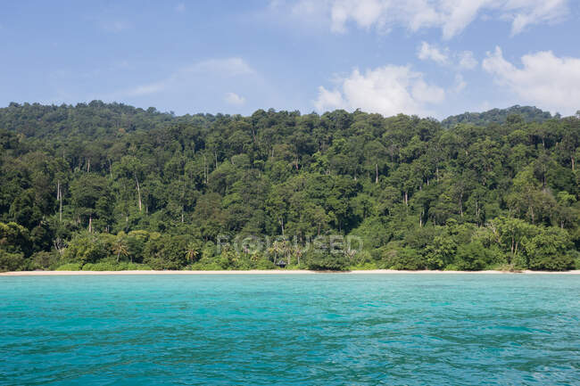 Мальовничий вид дощових лісів з екзотичними пальмами, що ростуть на березі, обмитим блакитним хвилястим морем у Малайзії. — стокове фото