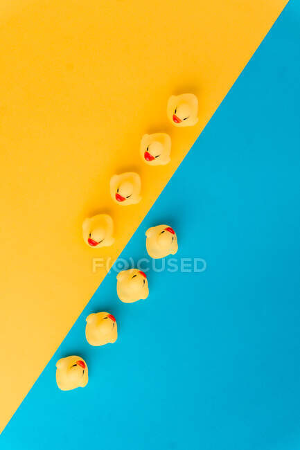 De cima conjunto de brinquedos bonitos patinhos de borracha em uma linha colocada no fundo azul e amarelo brilhante — Fotografia de Stock