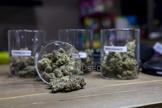 From above of dried hemp floral buds in transparent containers on wooden table in room — Stock Photo