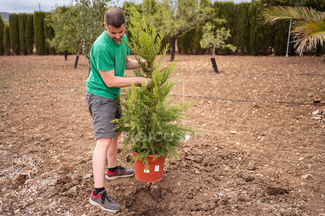 Vista lateral do horticultor masculino adulto com árvore sempre verde em vaso de medição de tamanho de poço em terra — Fotografia de Stock