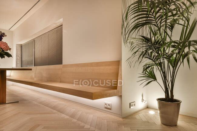 Intérieur d'une spacieuse pièce lumineuse avec banc en bois et table dans une villa contemporaine décorée de plantes exotiques en pot — Photo de stock
