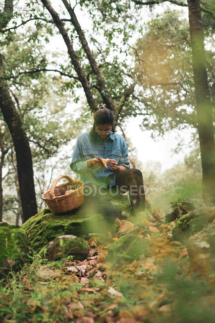 Mycologue féminine sérieuse assise sur un rocher mousseux regardant Lactarius deliciosus champignon dans la forêt avec panier — Photo de stock