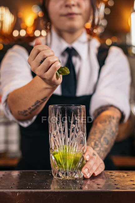 Crop barman ajouter des feuilles de menthe fraîche dans le verre tout en préparant Mojito cocktail au comptoir dans le bar — Photo de stock