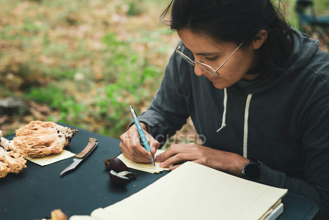 Micólogo femenino enfocado que escribe en hoja de papel nombre del hongo Boletus pinophillus - foto de stock