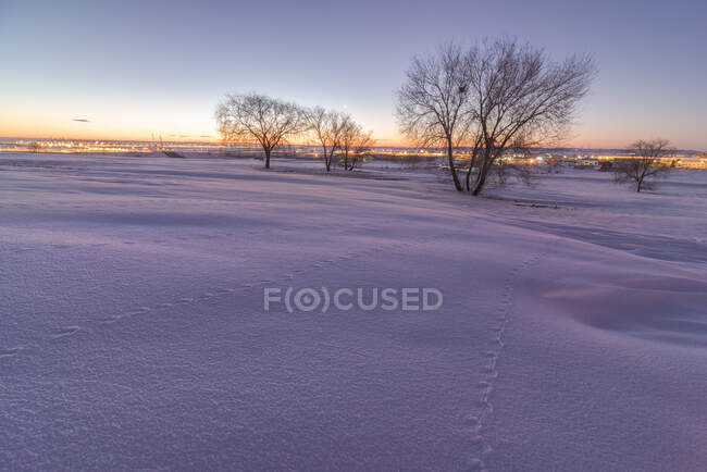 Краєвид величезної нескінченної місцевості, покритої снігом з голими деревами, що ростуть в зимовій сільській місцевості на заході сонця — стокове фото