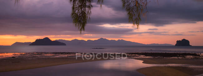 Vista attraverso rami di albero sulla costa sabbiosa bagnata dal mare sotto il cielo tempestoso e cupo al tramonto in Malesia — Foto stock