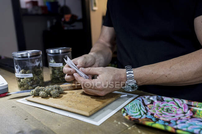Обрізати анонімного чоловіка в наручних годинниках з сухим меленим листом марихуани на сигаретному папері над квітковими бруньками на дошці — стокове фото