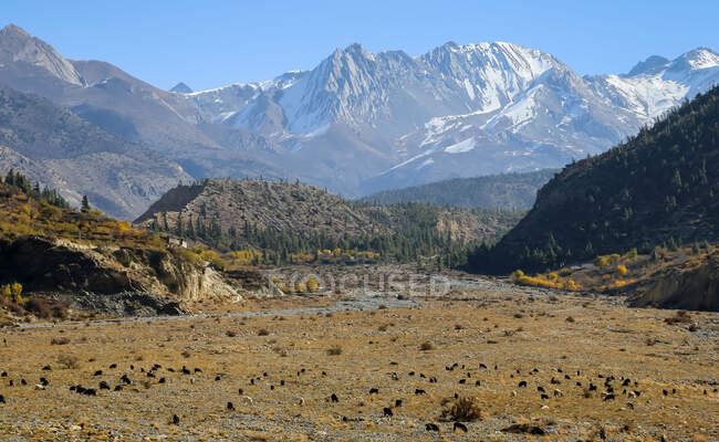 Alti ripidi pendii di montagne coperte di neve situate nella catena montuosa dell'Himalaya sotto il cielo colorato in Nepal — Foto stock