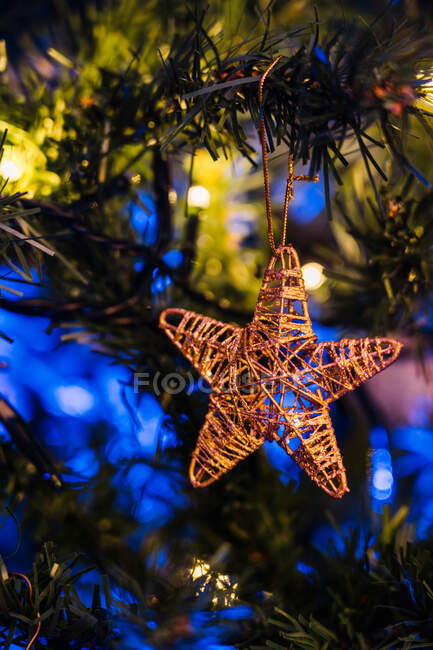 Festive star hanging on branch of coniferous tree decorated with garland for Christmas celebration — Stock Photo