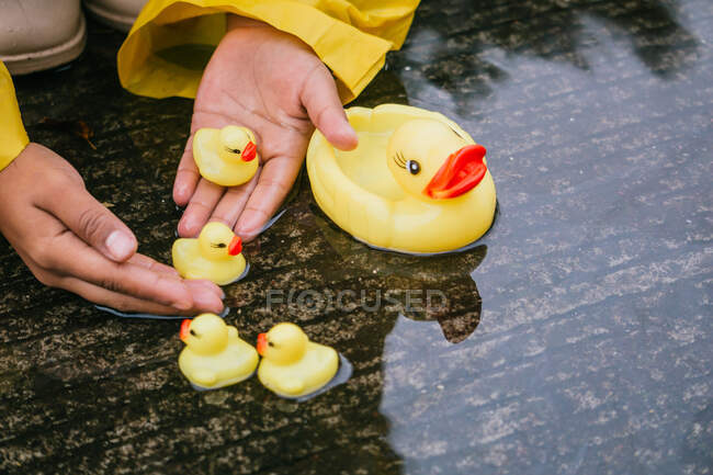 Niño de la cosecha en impermeable jugando con patos de plástico reflejándose en charco ondulado en tiempo lluvioso - foto de stock