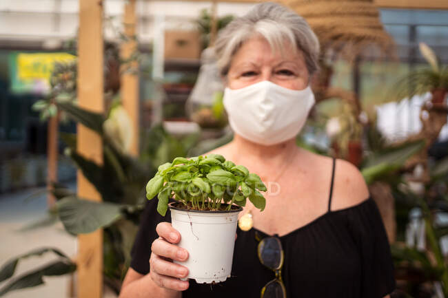 Reife Shopperin in Textilmaske mit Basilikum im Topf blickt in die Kamera, während sie tropische Pflanzen im Gartenladen pflückt — Stockfoto
