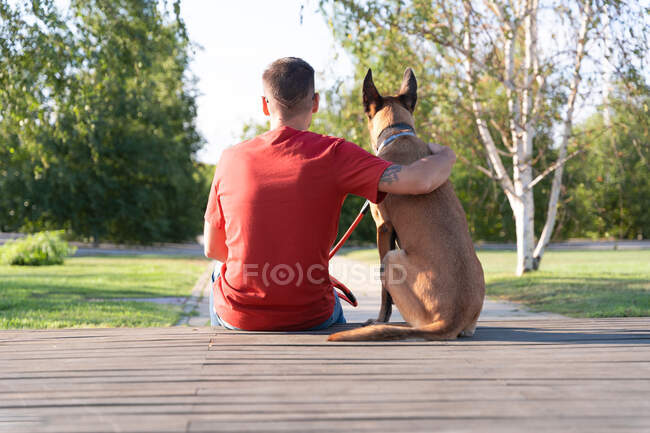 Back view of anonymous tattooed male embracing Malinois on wooden platform against green trees in sunny park — Stock Photo