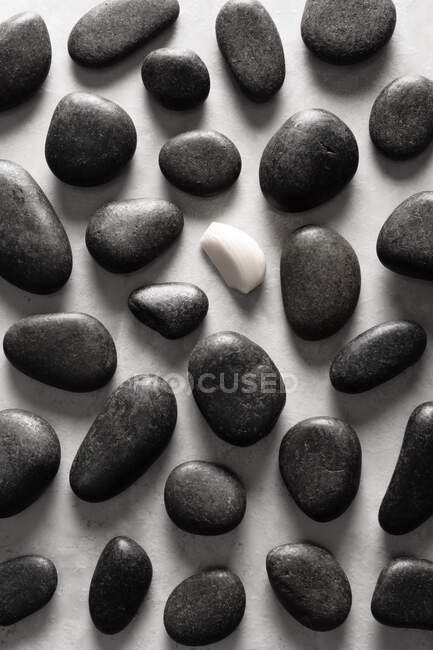 Zusammensetzung von oben aus Gewürznelken mit Knoblauch zwischen schwarzen Meeressteinen platziert — Stockfoto