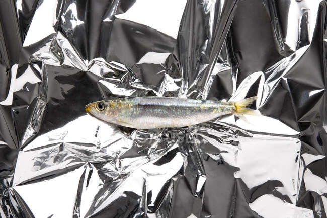 Top view of tiny raw anchovy fish on creased foil for baking dish — Stock Photo