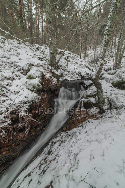 Rivière rapide qui coule à travers des rochers rugueux parmi les arbres enneigés dans le parc national de Sierra de Guadarrama à Madrid — Photo de stock