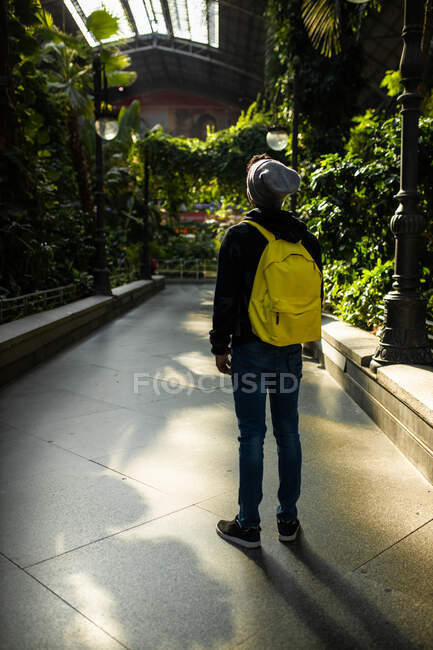 Back view of peaceful African American male hipster with backpack chilling standing admiring indoors garden park — Stock Photo