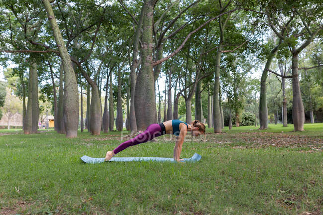 Vista lateral da fêmea magra em activewear realizando Phalakasana no tapete de ioga no parque verde durante o dia — Fotografia de Stock