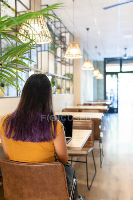 Back view of unrecognizable young female entrepreneur sitting at table and browsing netbook while working on modern workplace — Stock Photo