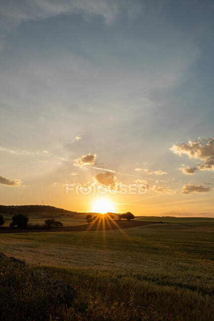 Vue pittoresque de prairie verte avec des arbres sous un ciel nuageux avec des rayons de soleil brillants au crépuscule — Photo de stock