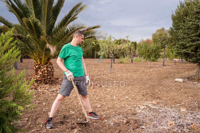 Adult male horticulturist with hoe preparing soil to plant pine tree against mountains in daylight — Stock Photo