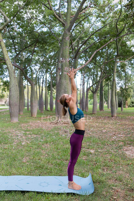Side view of calm female in sportswear standing with raised arms on mat on green grass while practicing yoga in park in daytime — Stock Photo