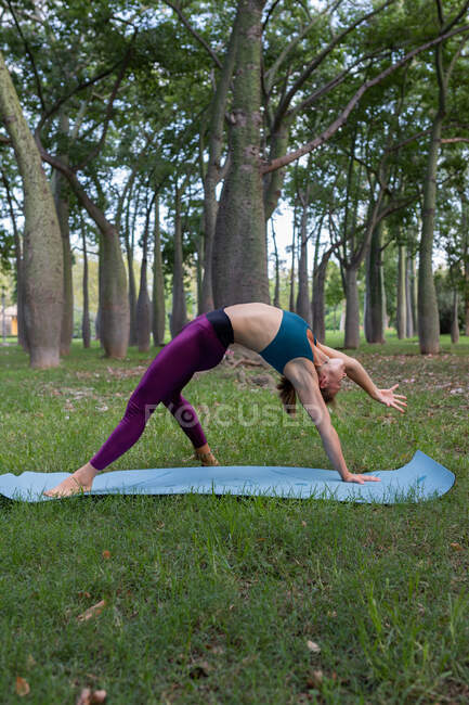 Seitenansicht einer jungen flexiblen Frau in Sportkleidung, die Chamatkarasana durchführt, während sie tagsüber Yoga in der Natur vor grünen Bäumen im Park praktiziert — Stockfoto