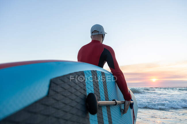 Rückenansicht eines unkenntlichen männlichen Surfers in Neoprenanzug und Hut, der ein Paddelbrett trägt und ins Wasser steigt, um an der Küste zu surfen — Stockfoto