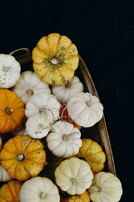 Top view composition of various types of pumpkins arranged on black background — Stock Photo