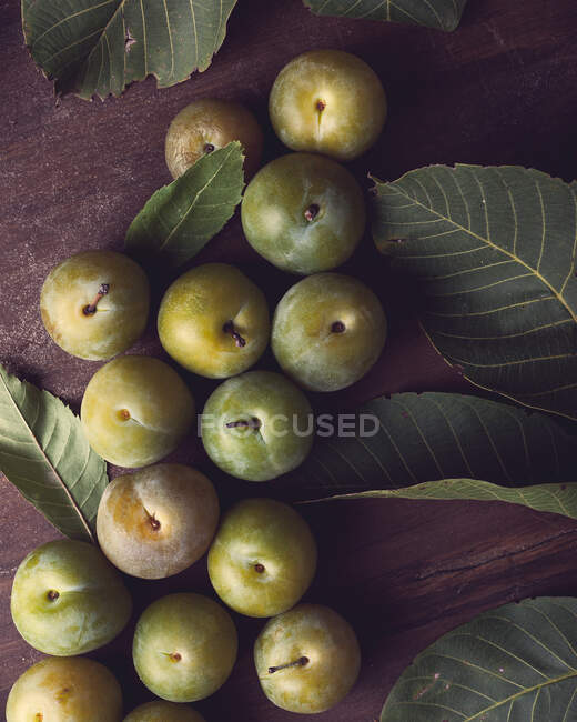 Desde arriba de ciruelas frescas maduras y hojas verdes colocadas sobre una mesa de madera durante el día - foto de stock